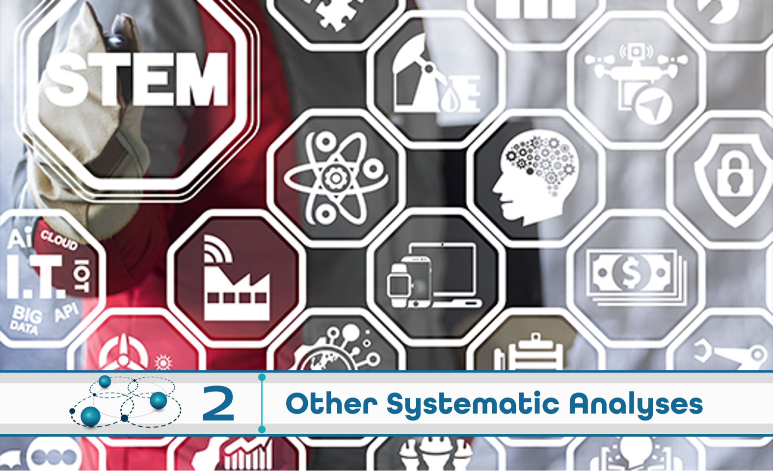 Level 2: Other Systematic Analysis