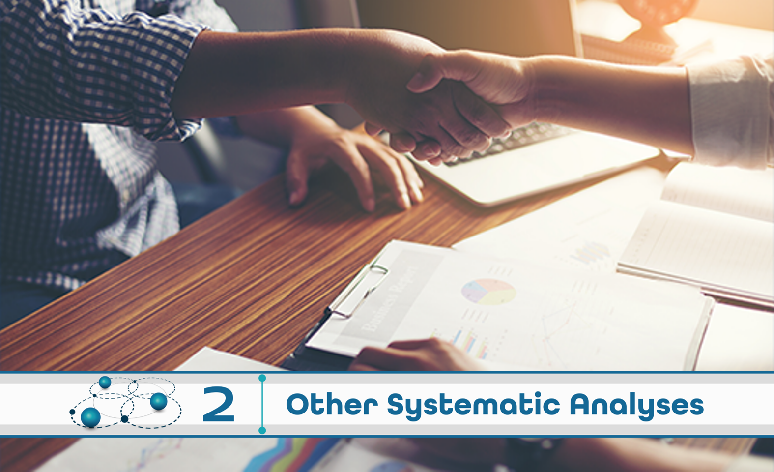 Level 2: Other Systematic Analysis
