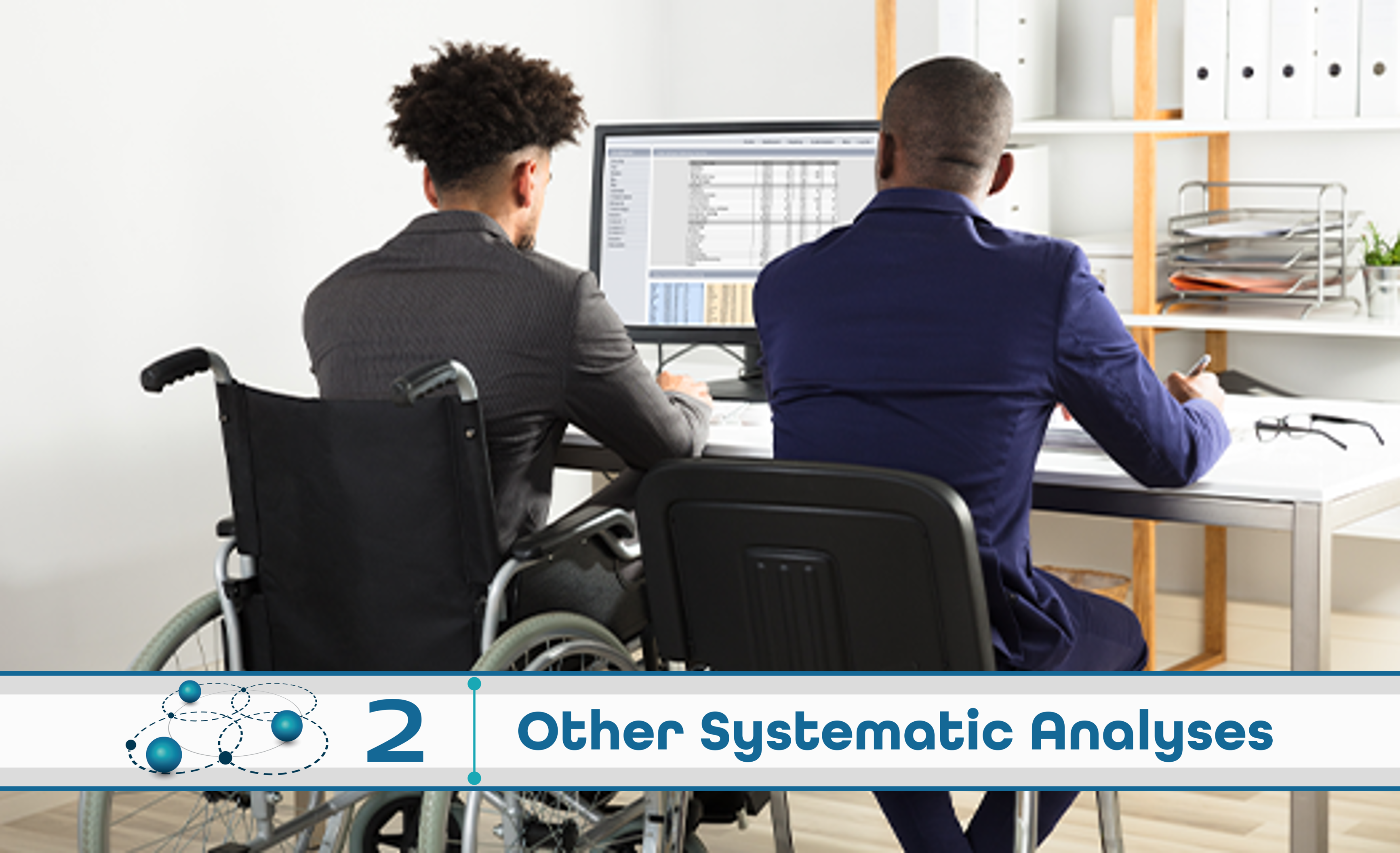 Level 2: Other Systematic Analysis