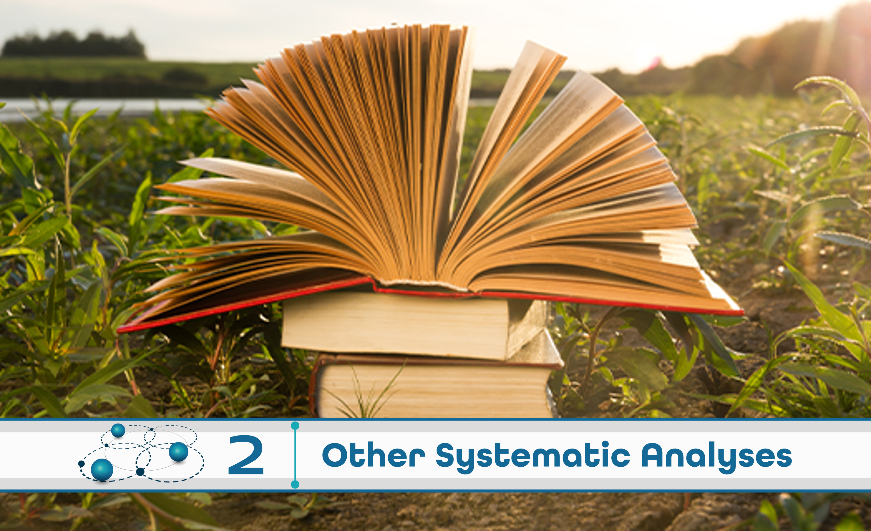 Level 2: Other Systematic Analysis