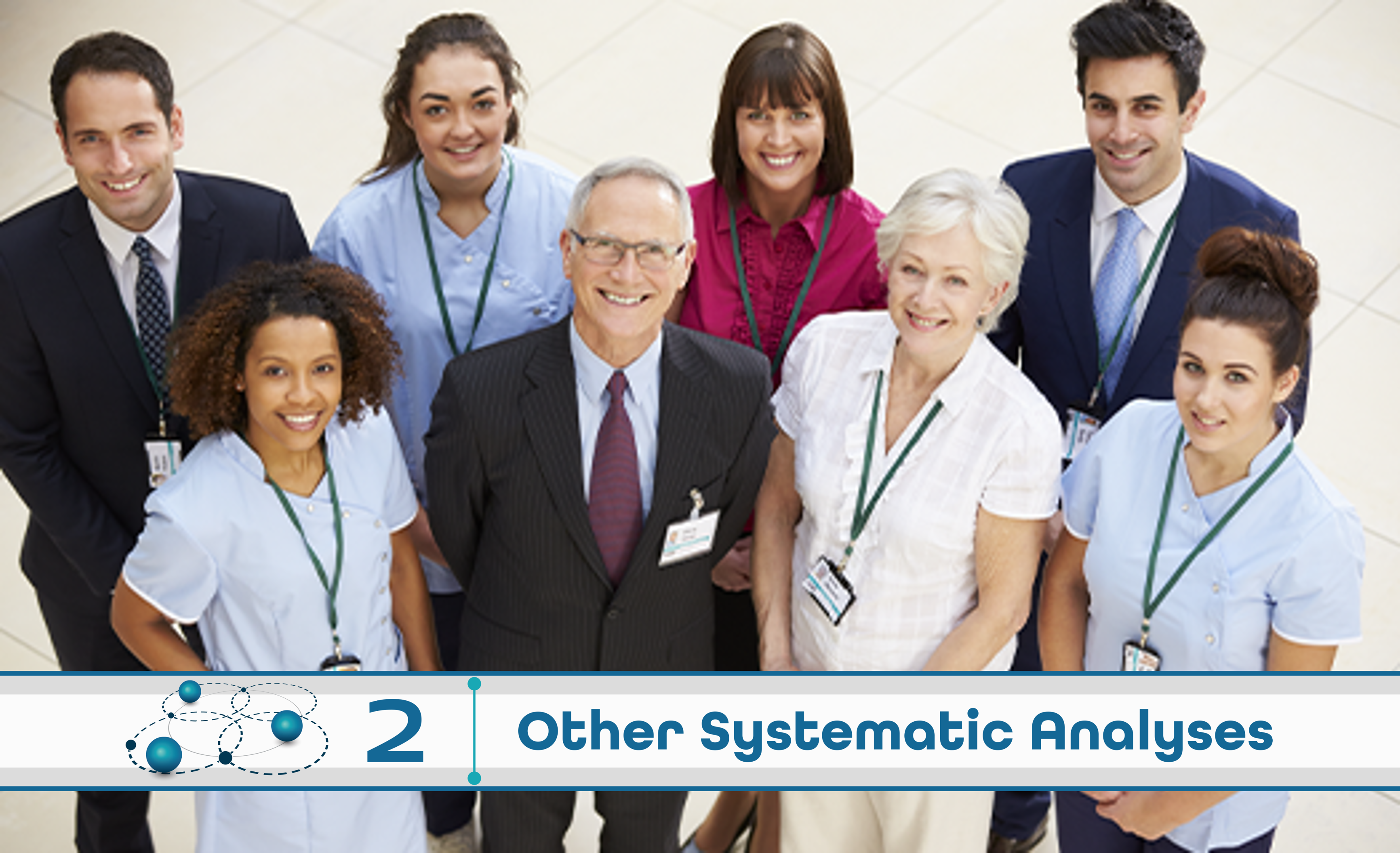Level 2: Other Systematic Analysis