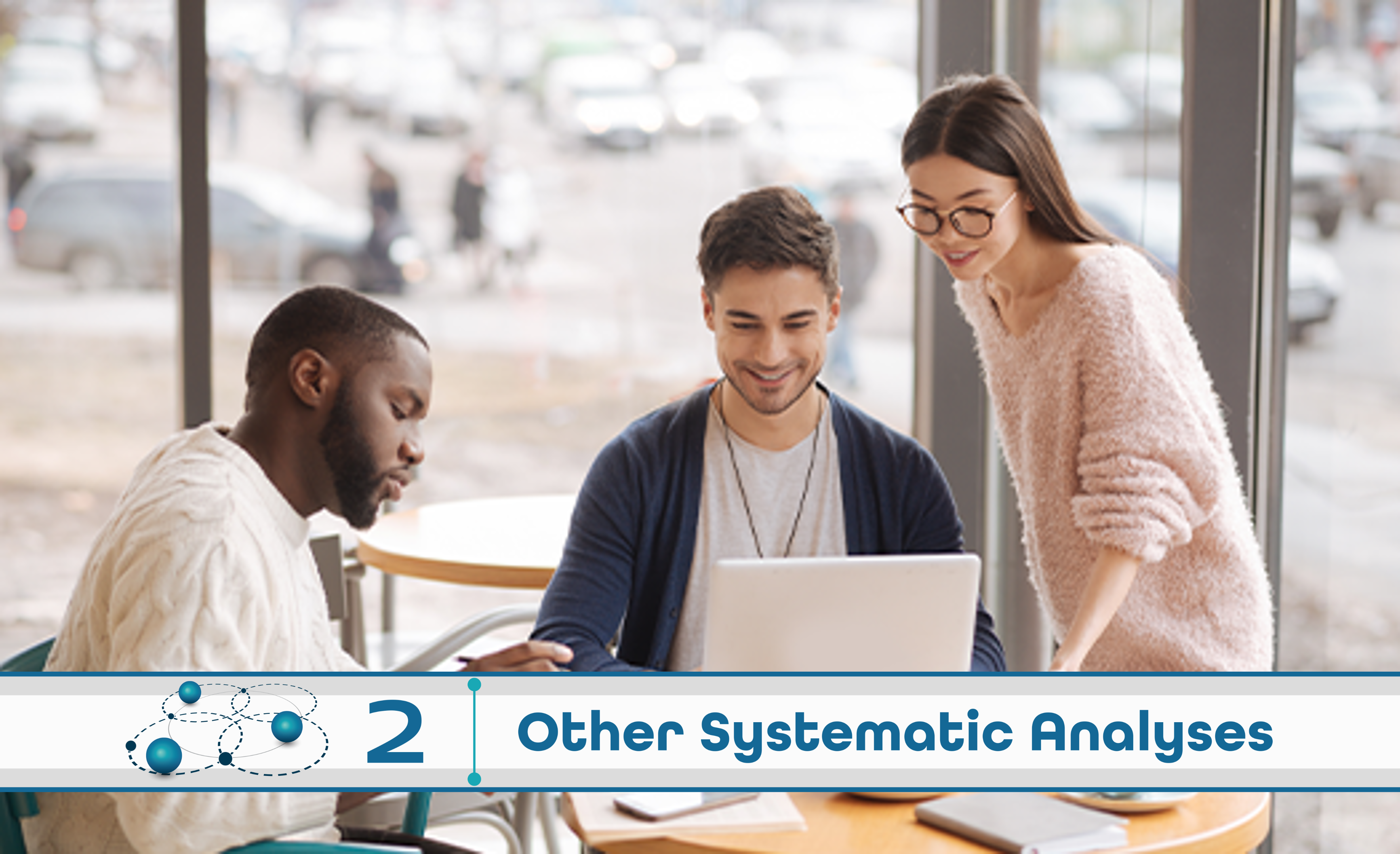 Level 2: Other Systematic Analysis