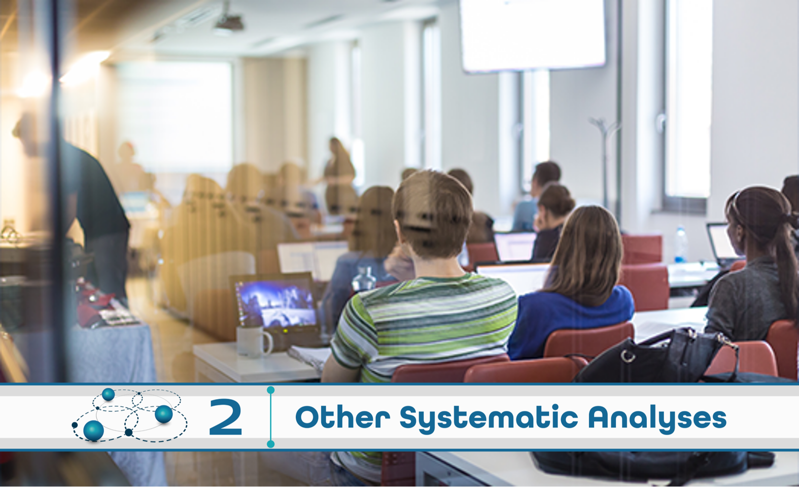 Level 2: Other Systematic Analysis