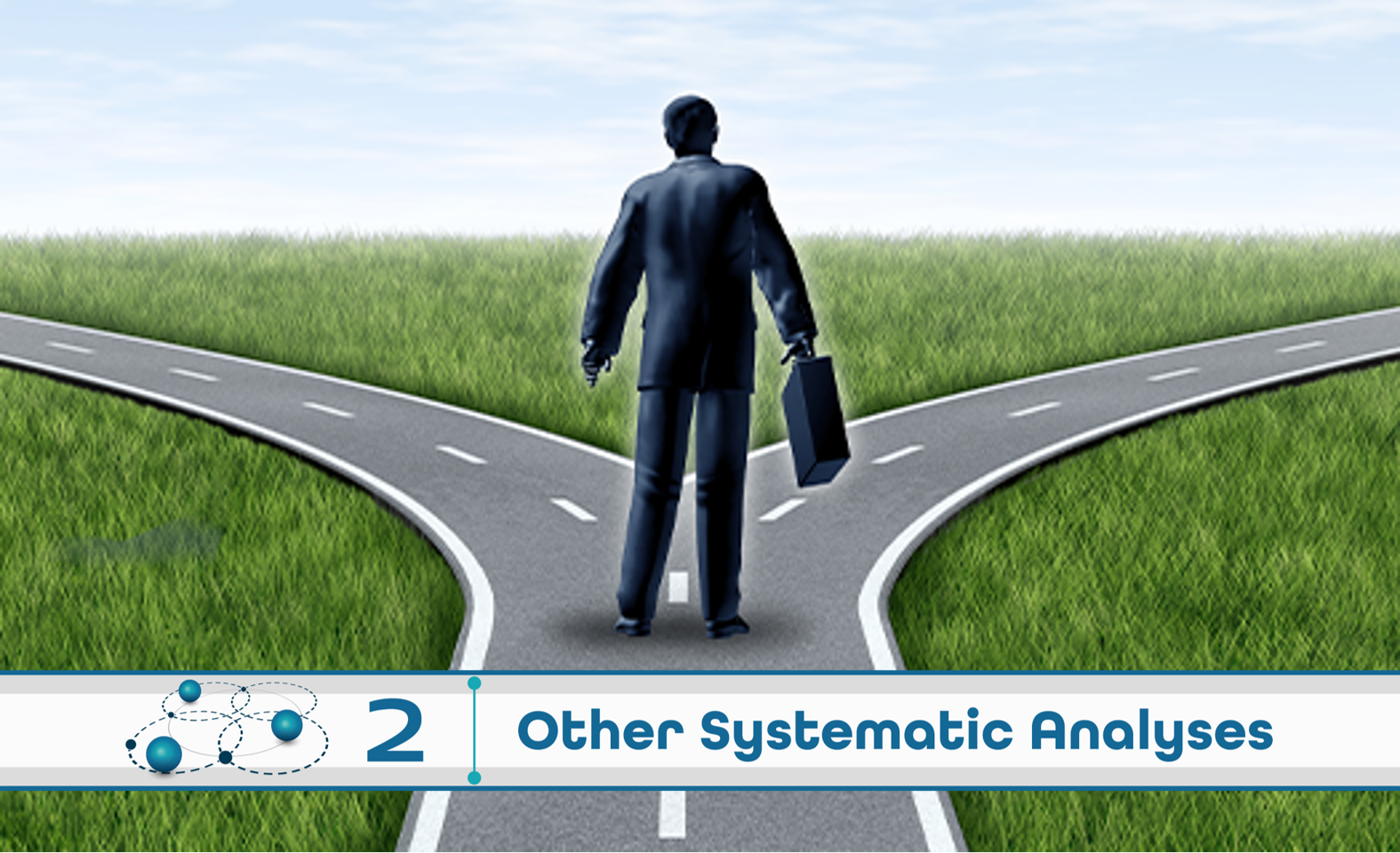 Level 2: Other Systematic Analysis