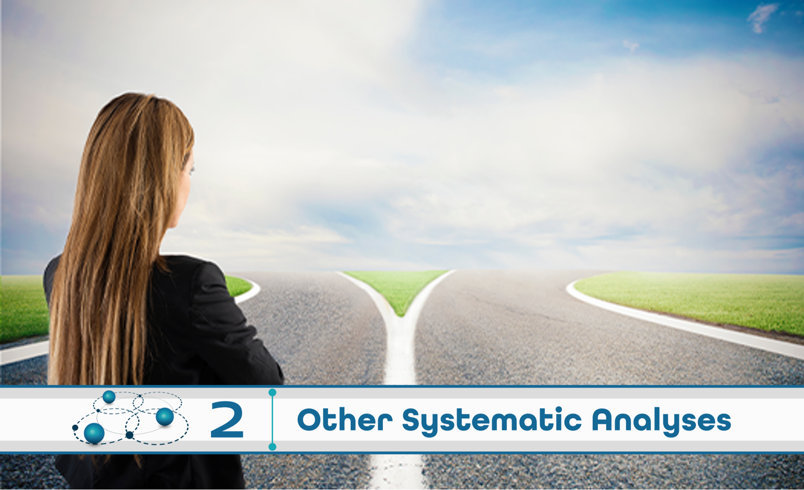 Level 2: Other Systematic Analysis