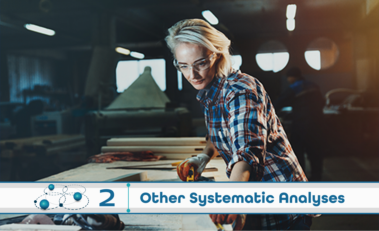 Level 2: Other Systematic Analysis