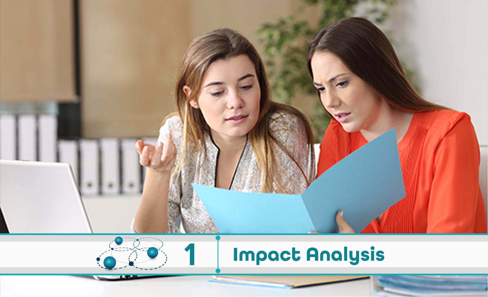 Level 1: Impact Analysis