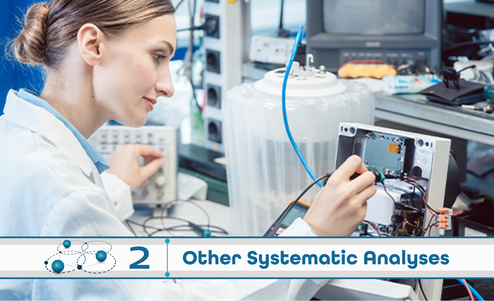 Level 2: Other Systematic Analysis
