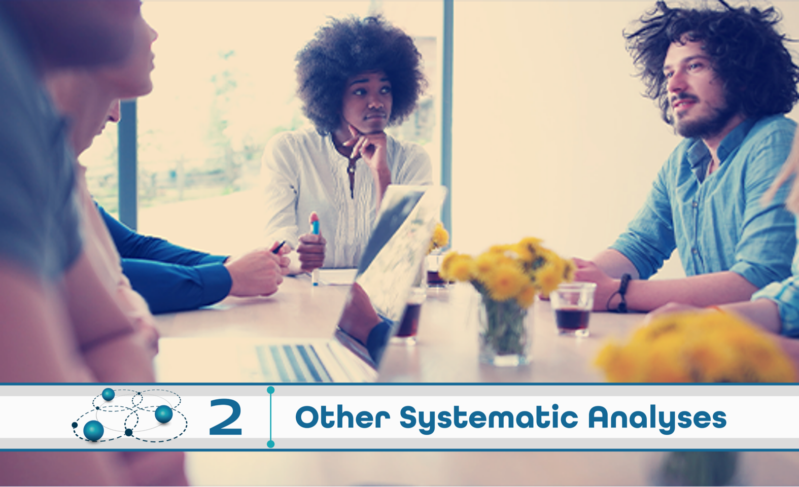 Level 2: Other Systematic Analysis