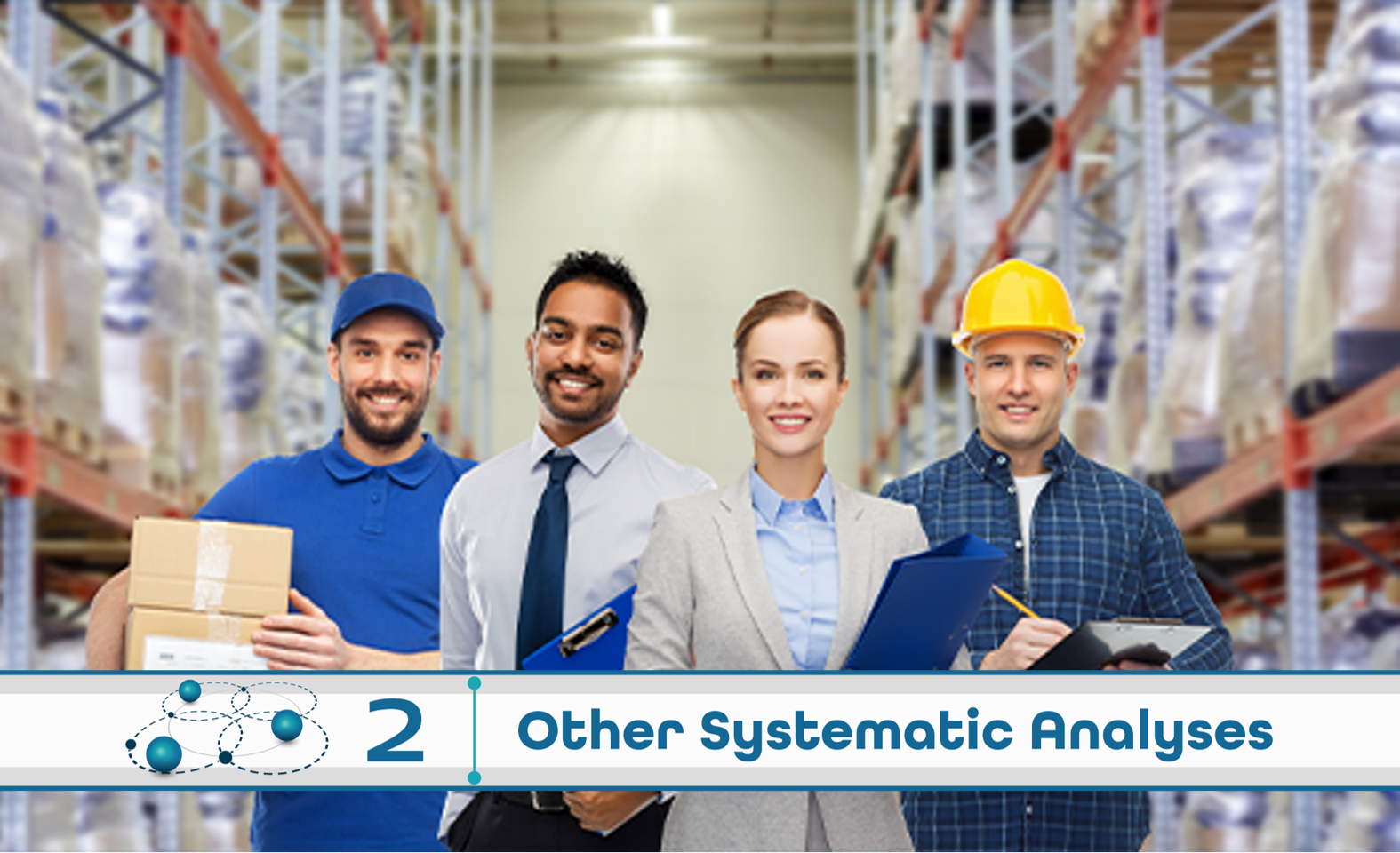Level 2: Other Systematic Analysis