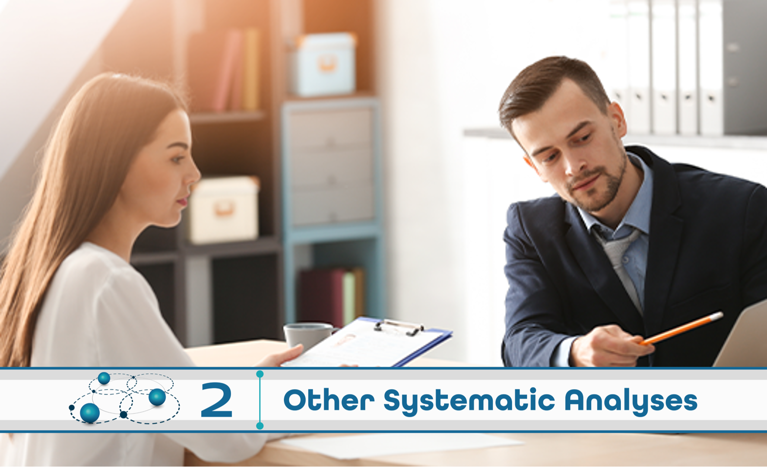 Level 2: Other Systematic Analysis
