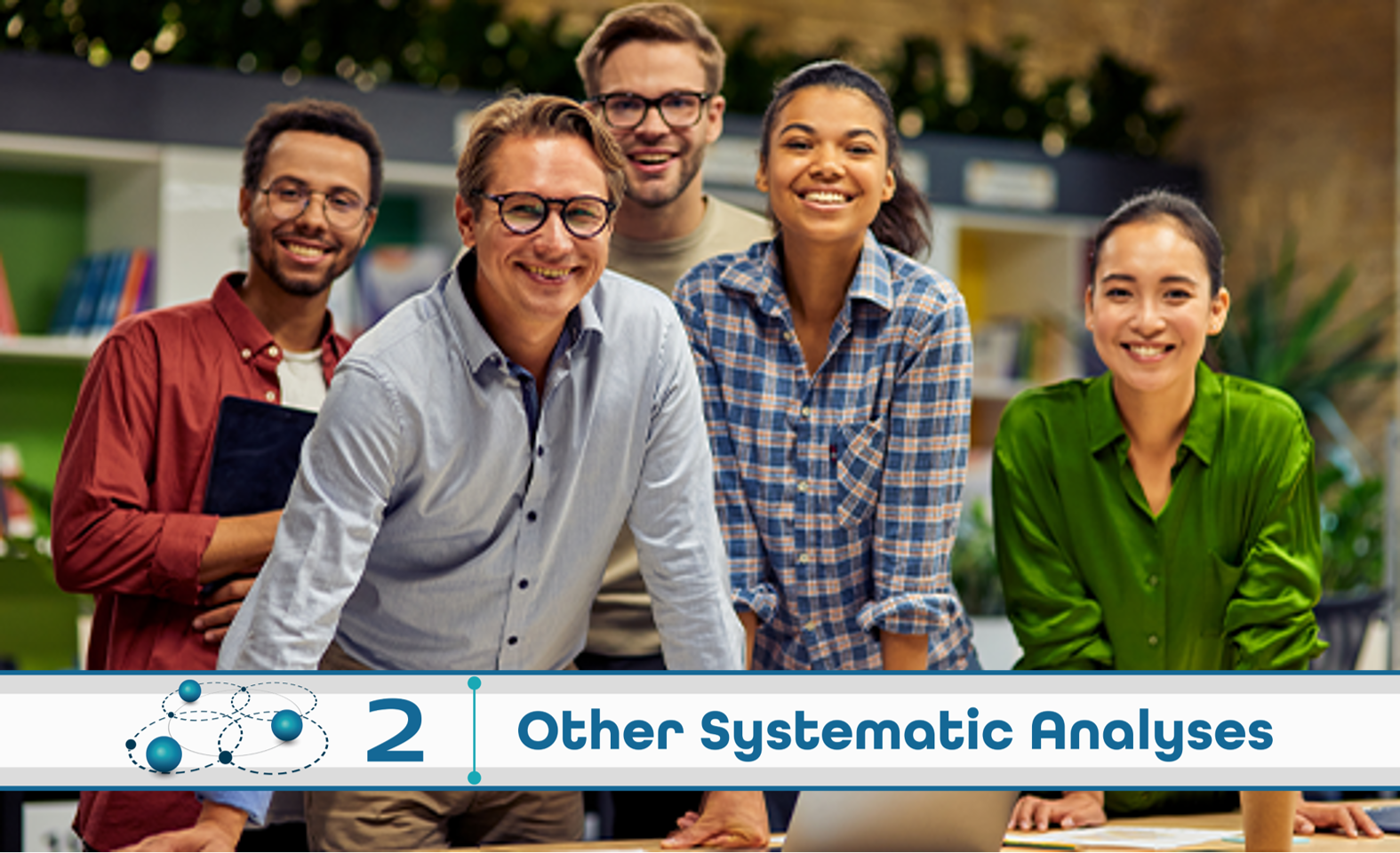 Level 2: Other Systematic Analysis
