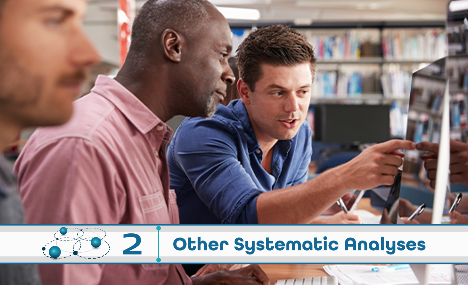 Level 2: Other Systematic Analysis