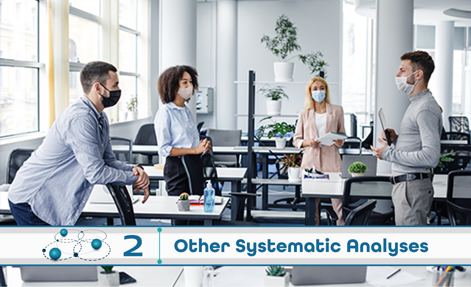 Level 2: Other Systematic Analysis