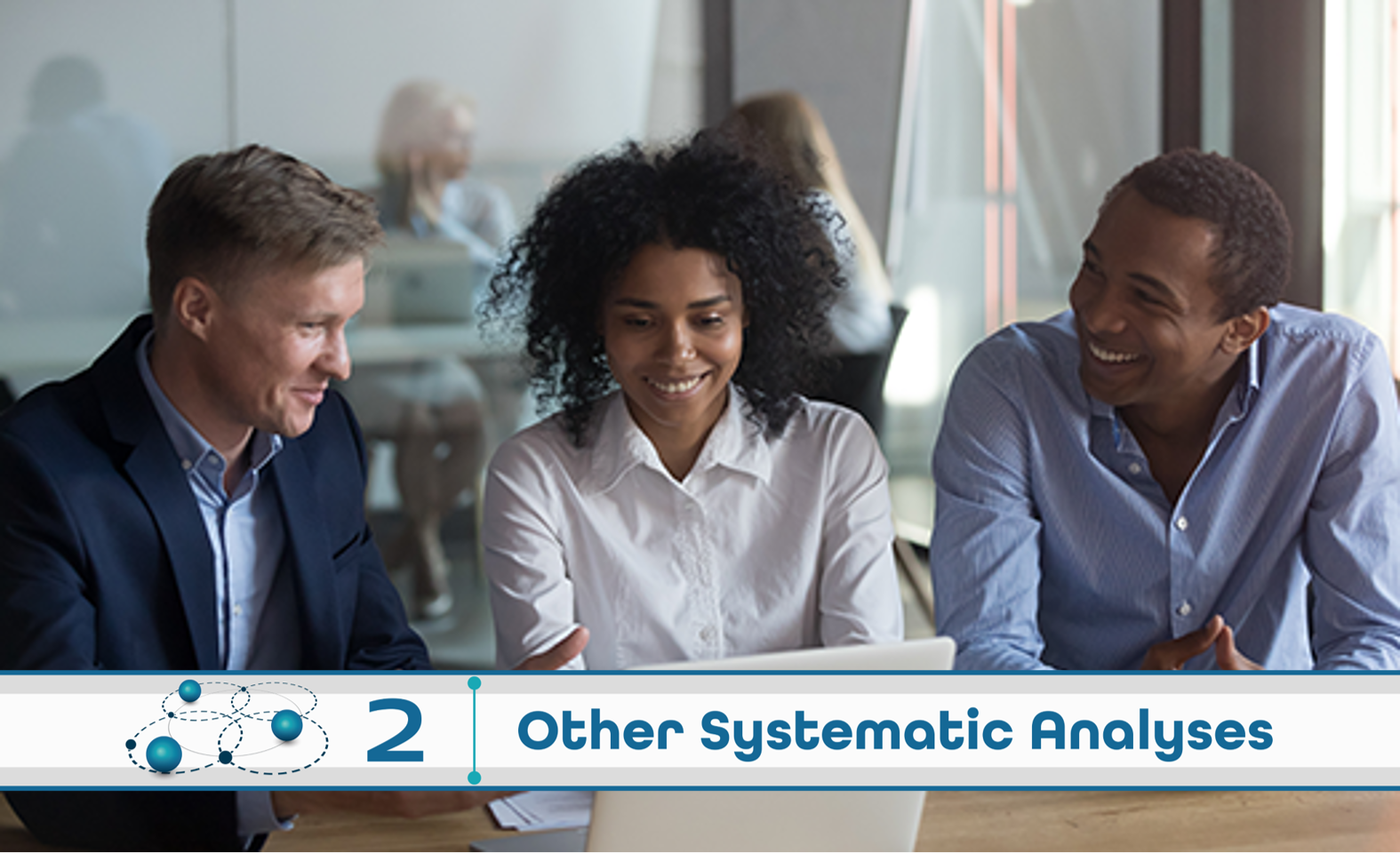 Level 2: Other Systematic Analysis