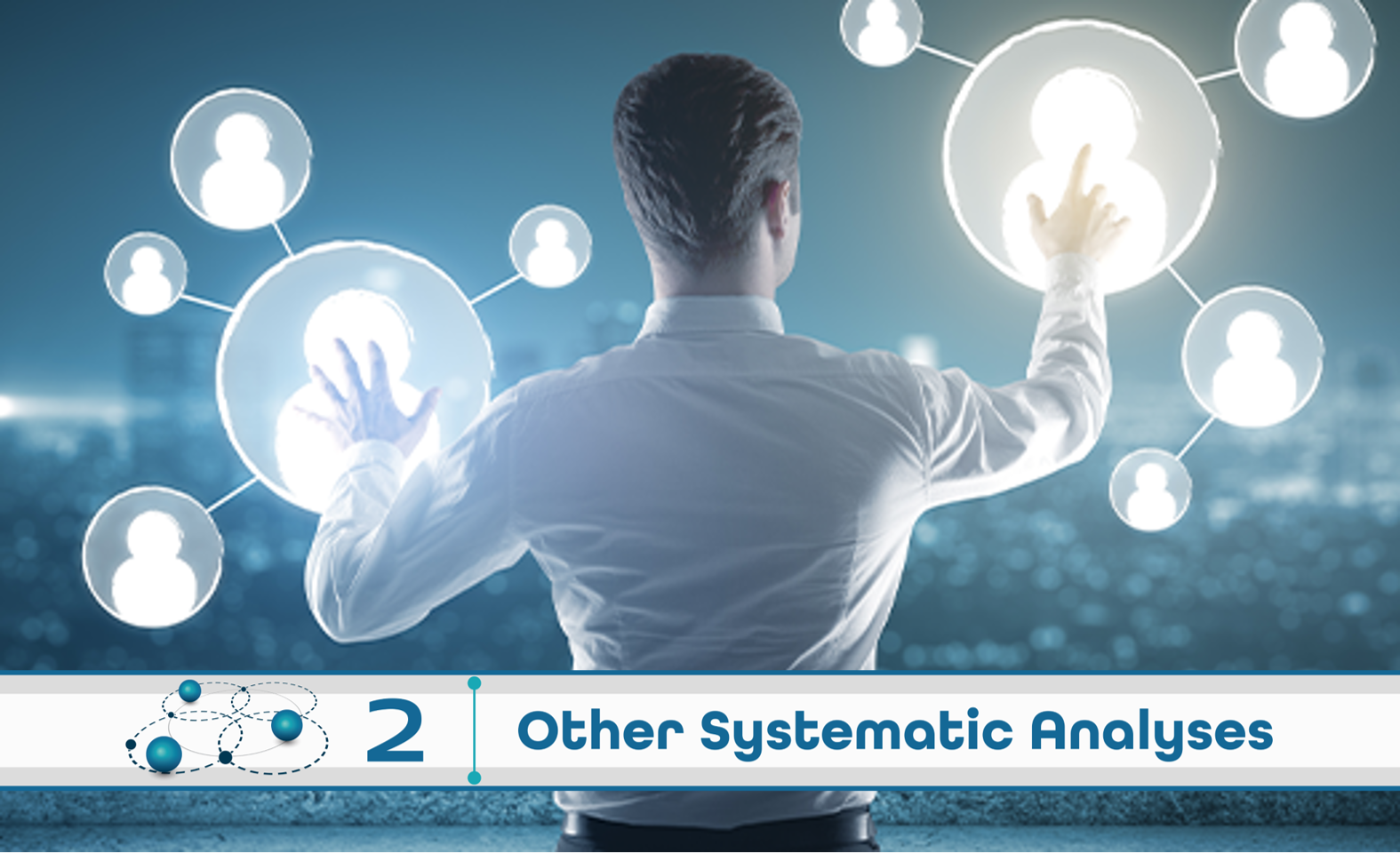 Level 2: Other Systematic Analysis