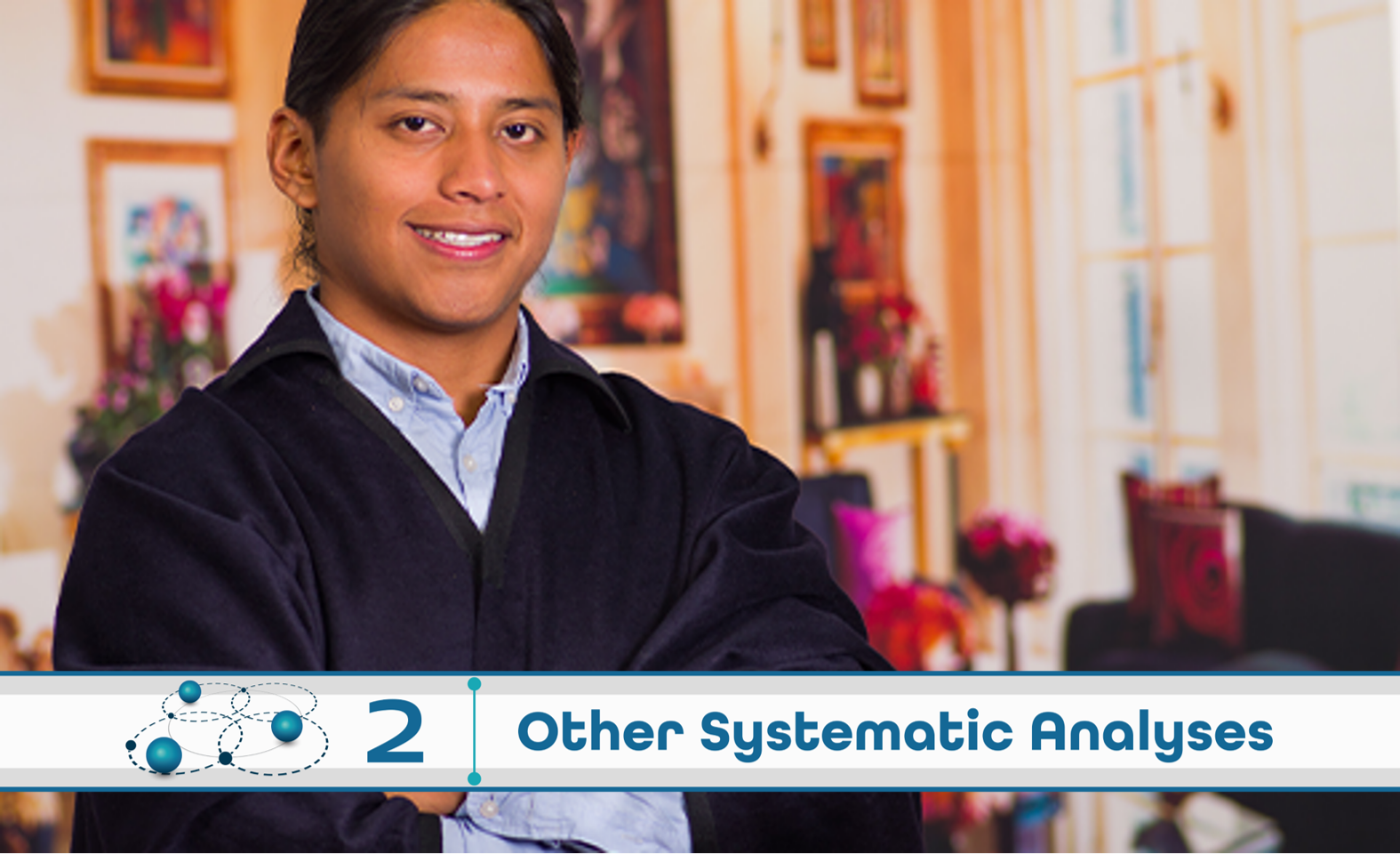 Level 2: Other Systematic Analysis