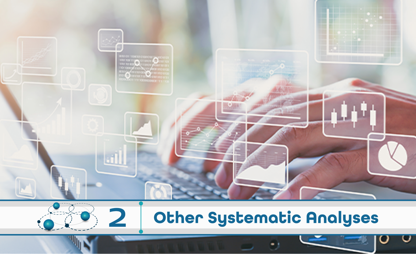 Level 2: Other Systematic Analysis