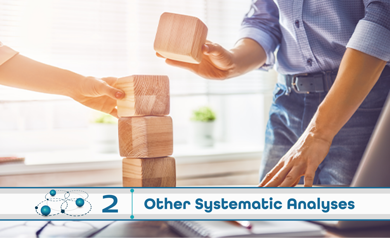 Level 2: Other Systematic Analysis