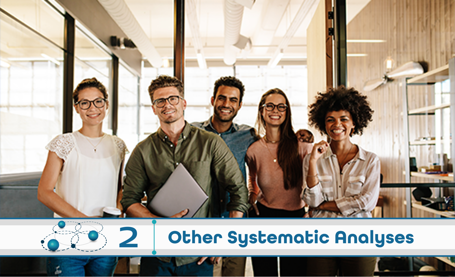 Level 2: Other Systematic Analysis