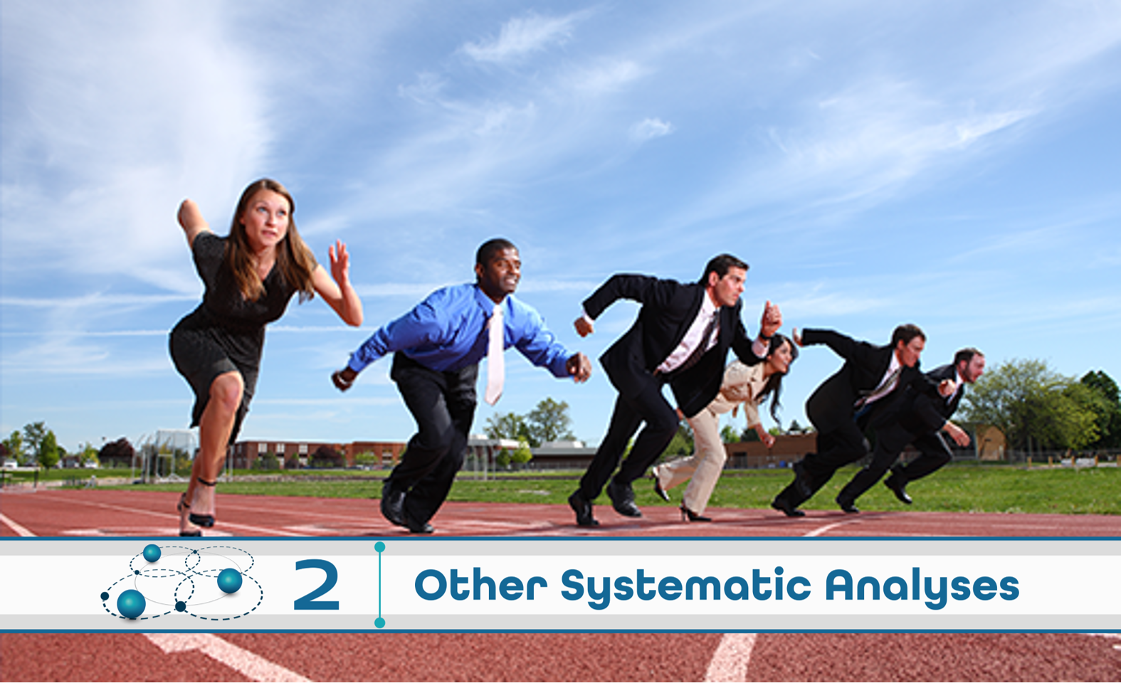 Level 2: Other Systematic Analysis