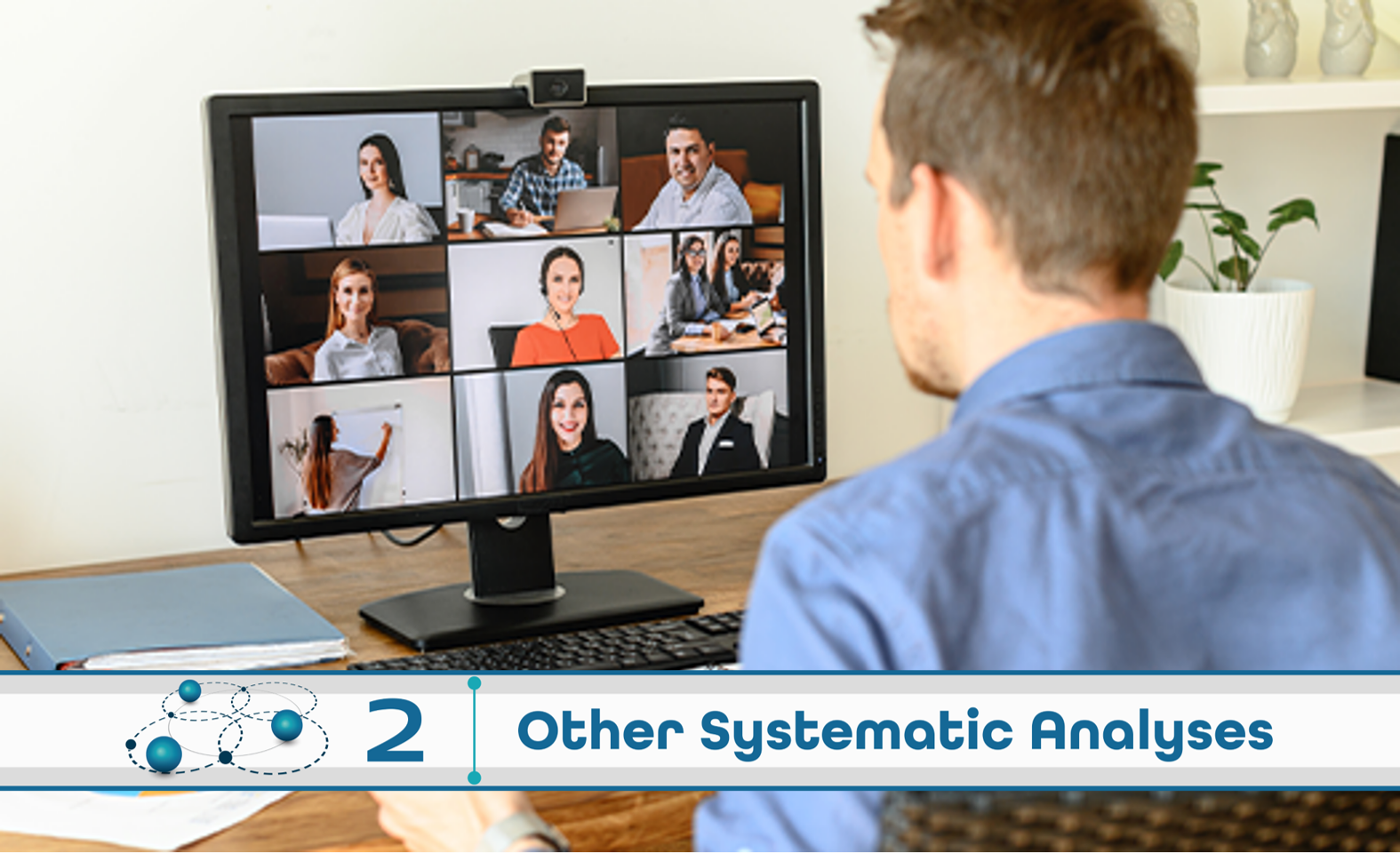 Level 2: Other Systematic Analysis