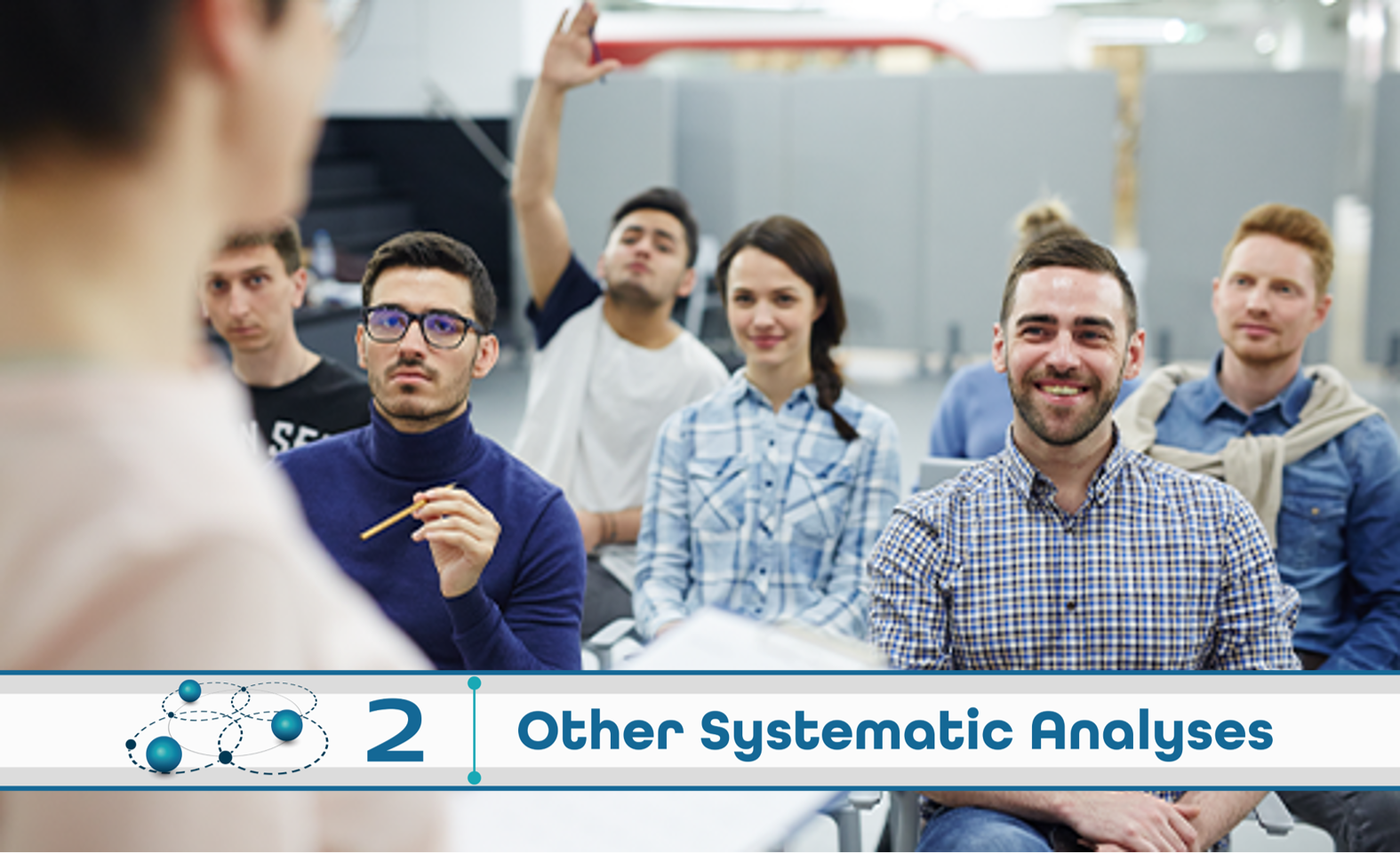 Level 2: Other Systematic Analysis