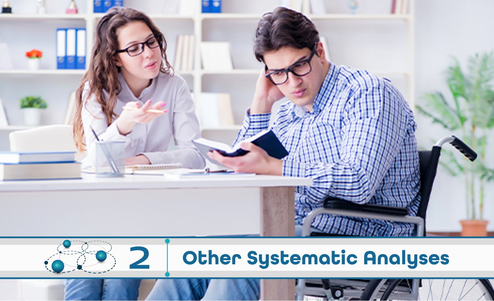 Level 2: Other Systematic Analysis