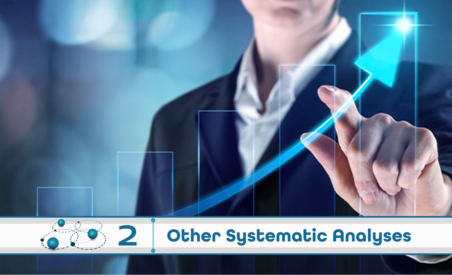 Level 2: Other Systematic Analysis