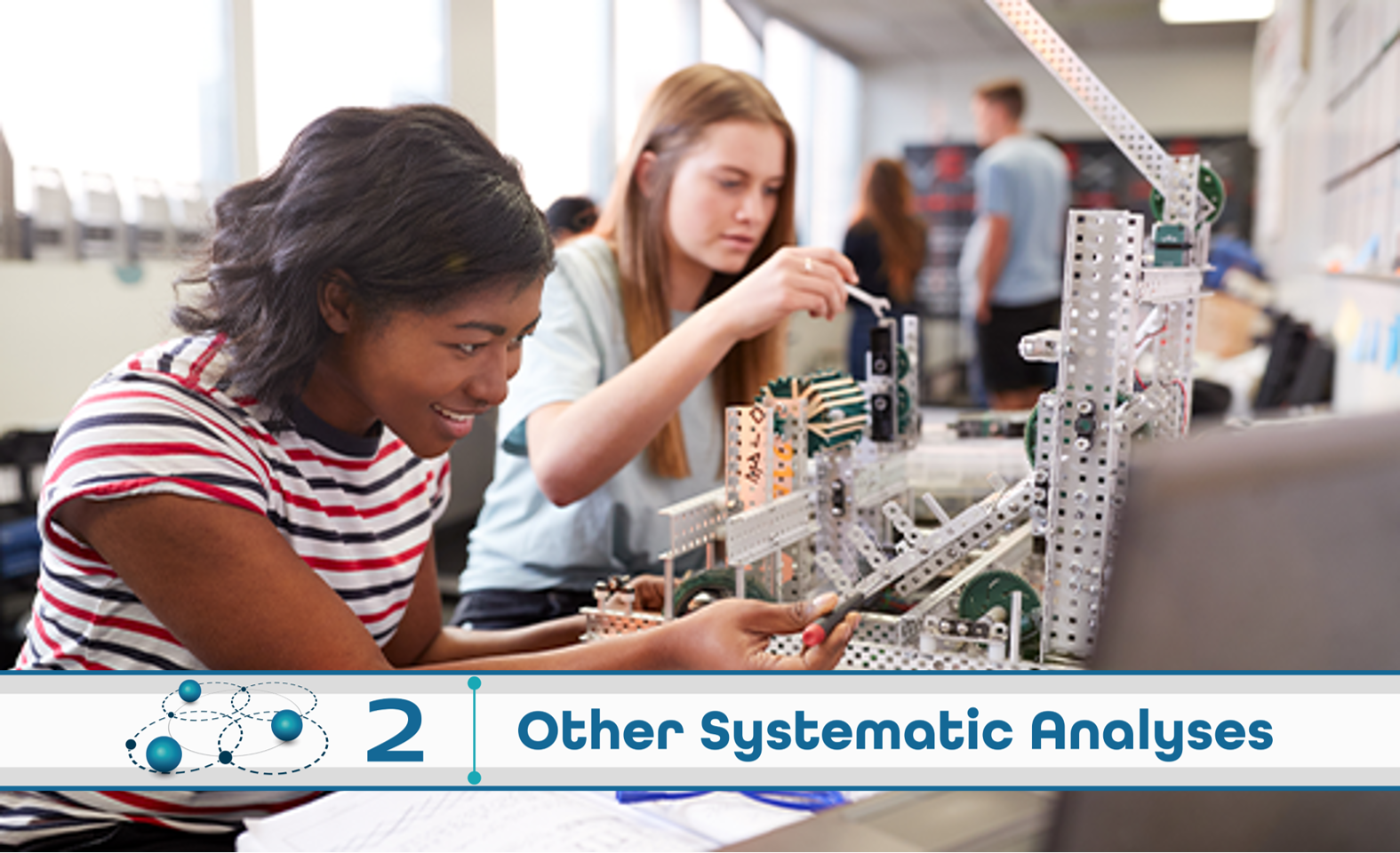 Level 2: Other Systematic Analysis