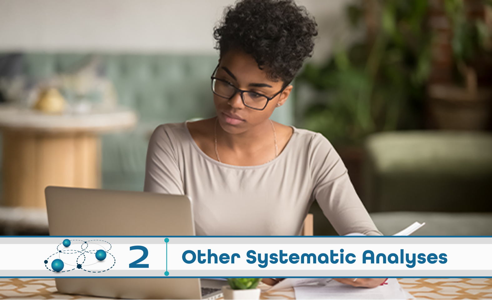 Level 2: Other Systematic Analysis