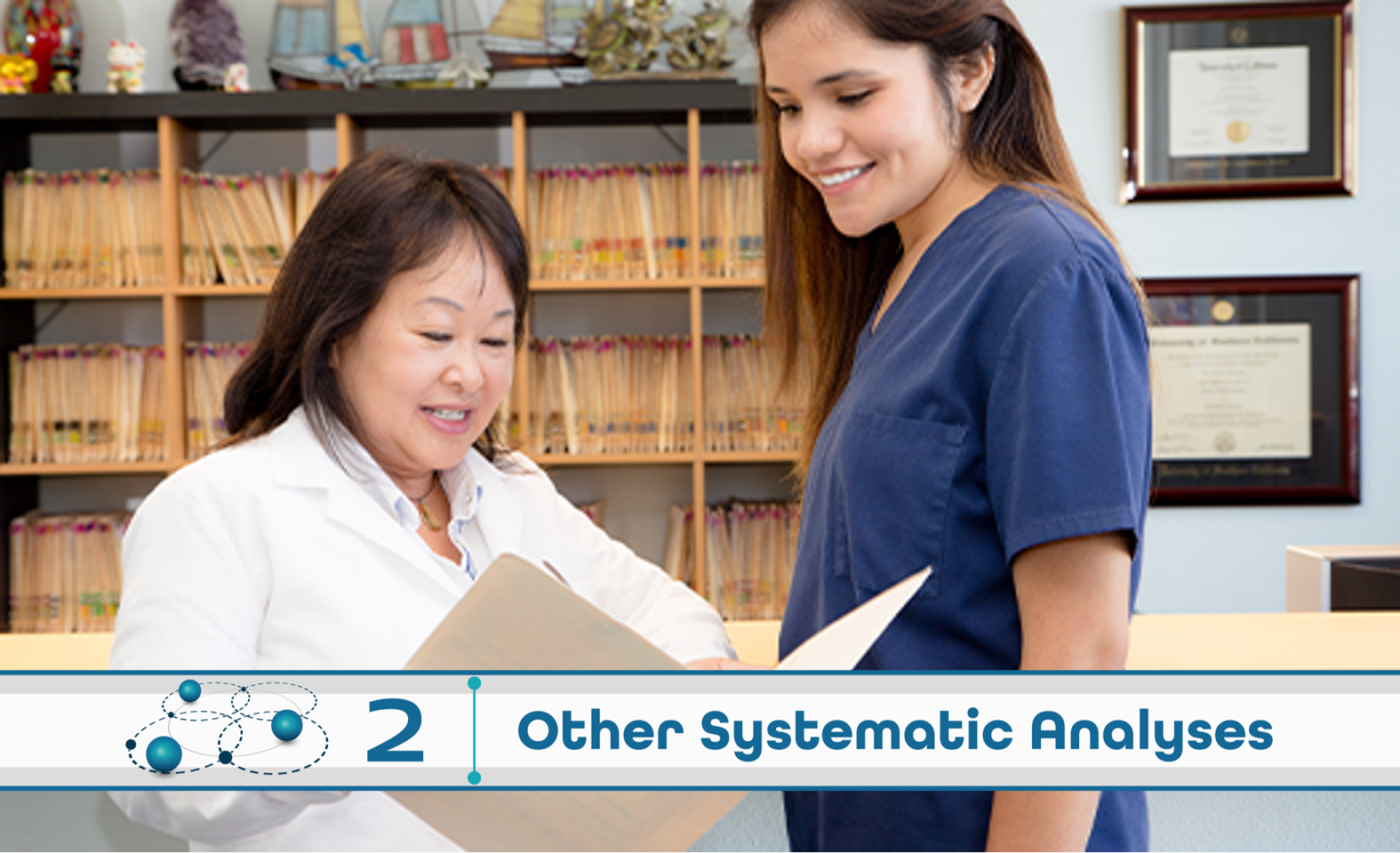 Level 2: Other Systematic Analysis