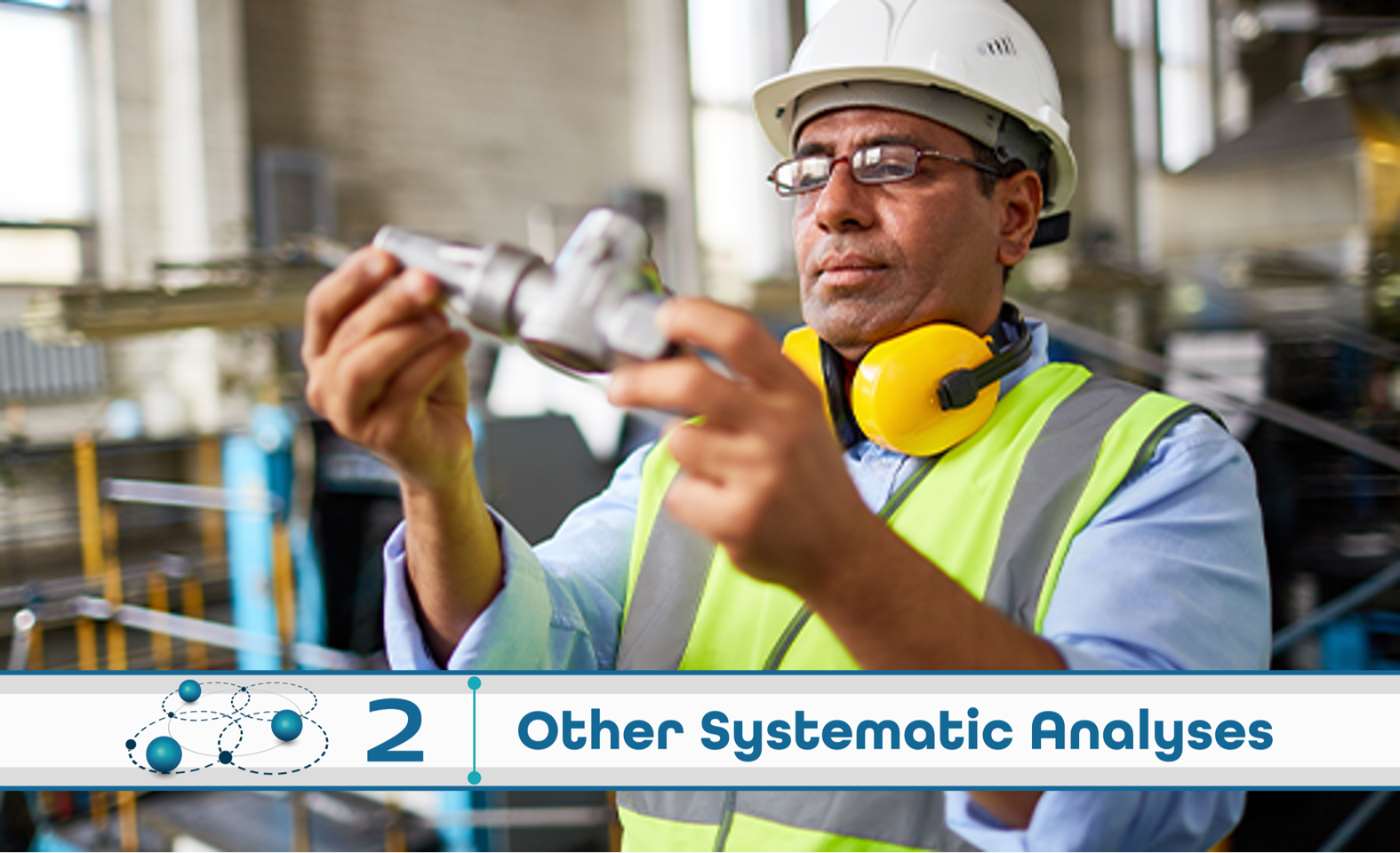 Level 2: Other Systematic Analysis