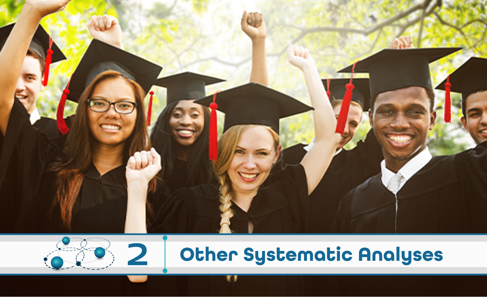 Level 2: Other Systematic Analysis