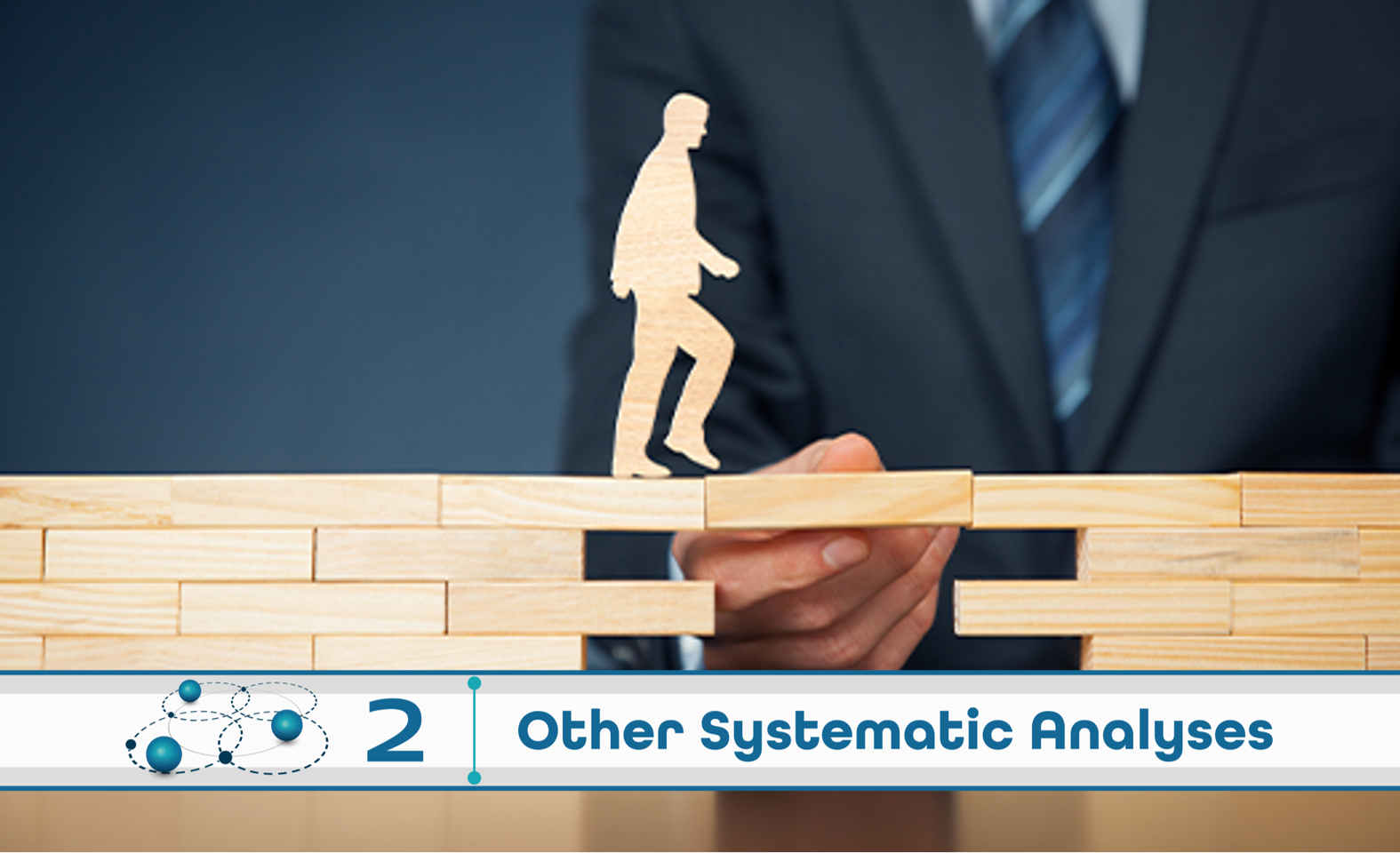 Level 2: Other Systematic Analysis