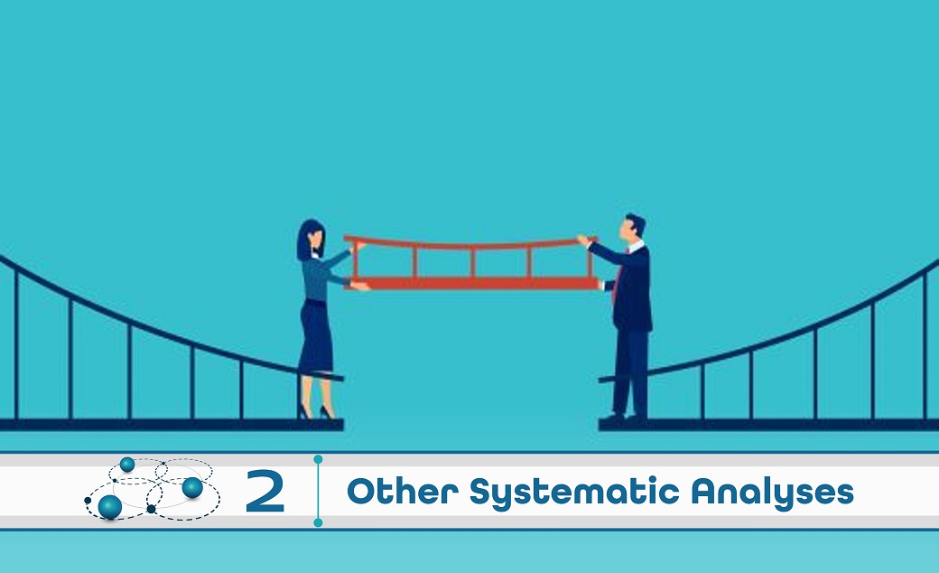 Level 2: Other Systematic Analysis