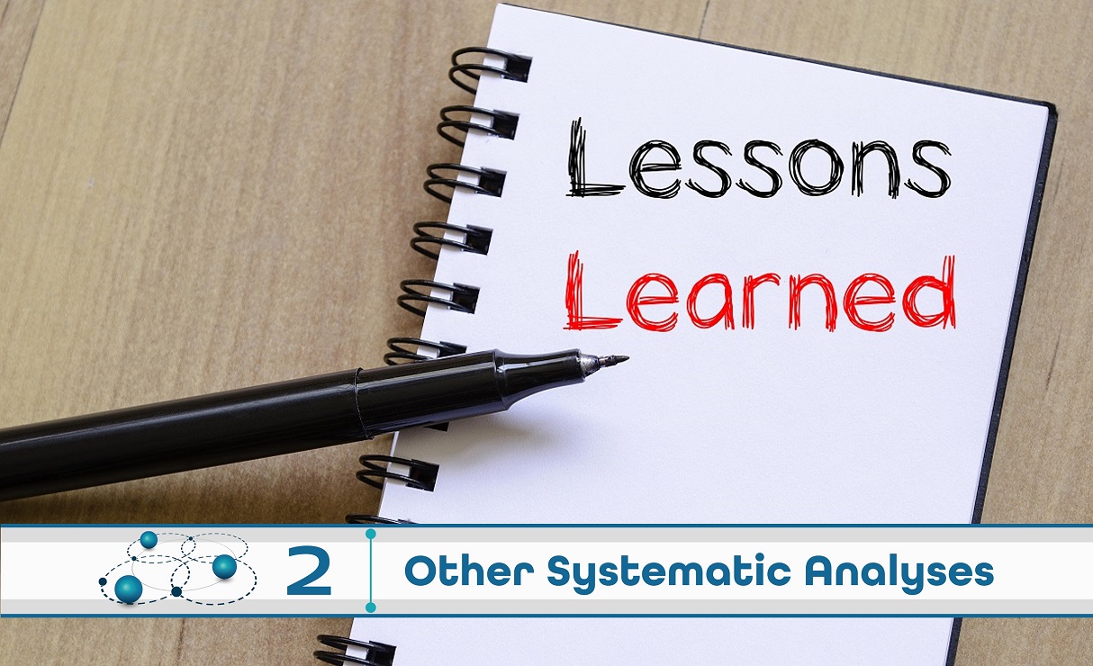 Level 2: Other Systematic Analysis