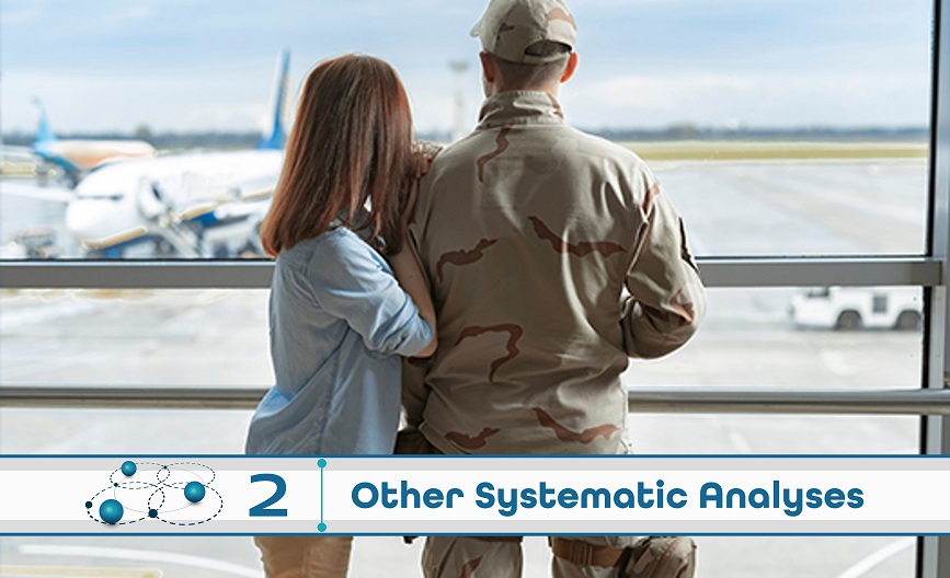  Level 2: Other Systematic Analysis