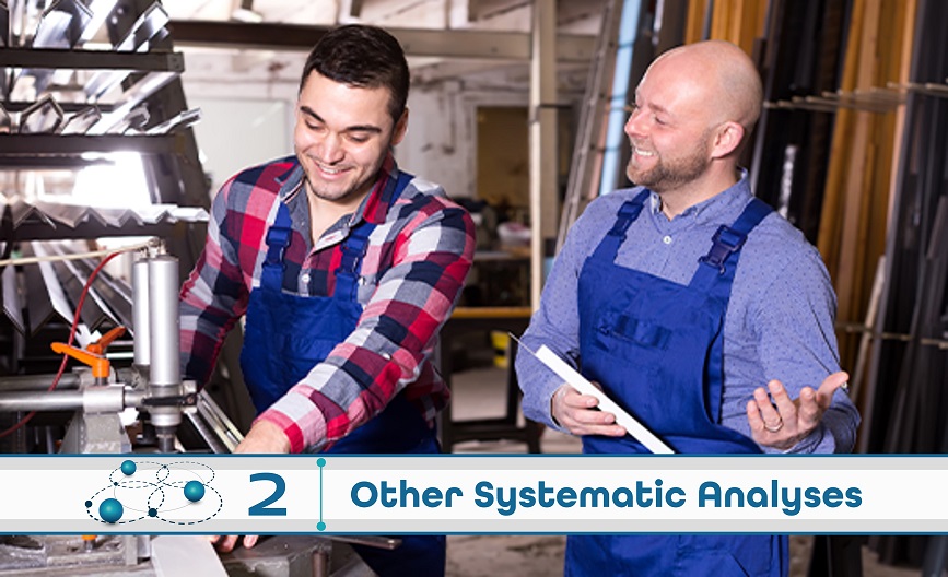 Level 2: Other Systematic Analysis