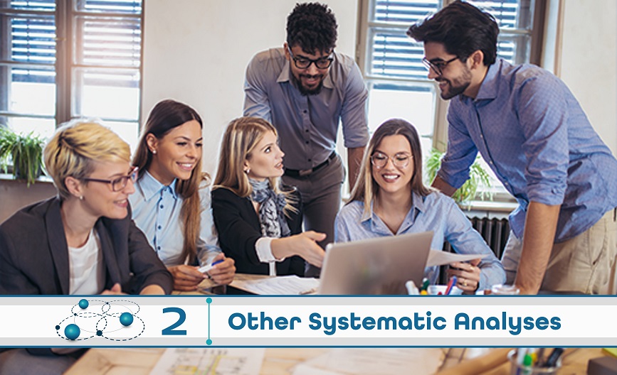 Level 2: Other Systematic Analysis