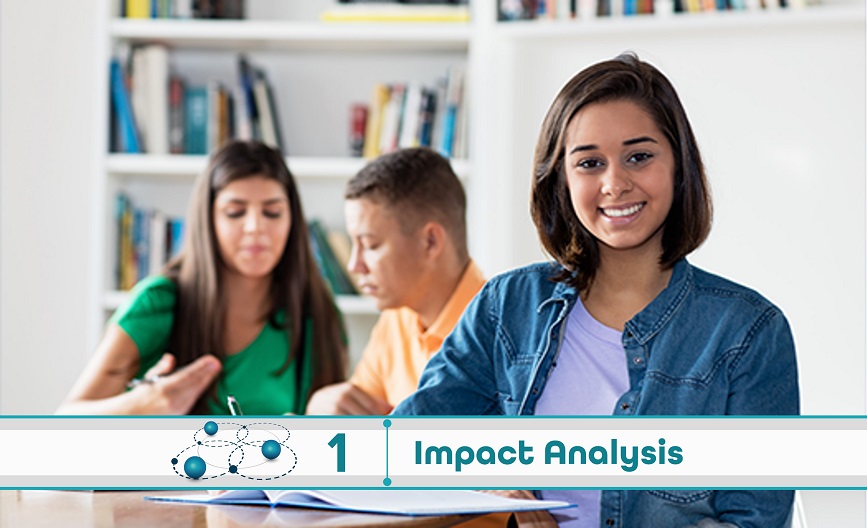 Level 1: Impact Analysis