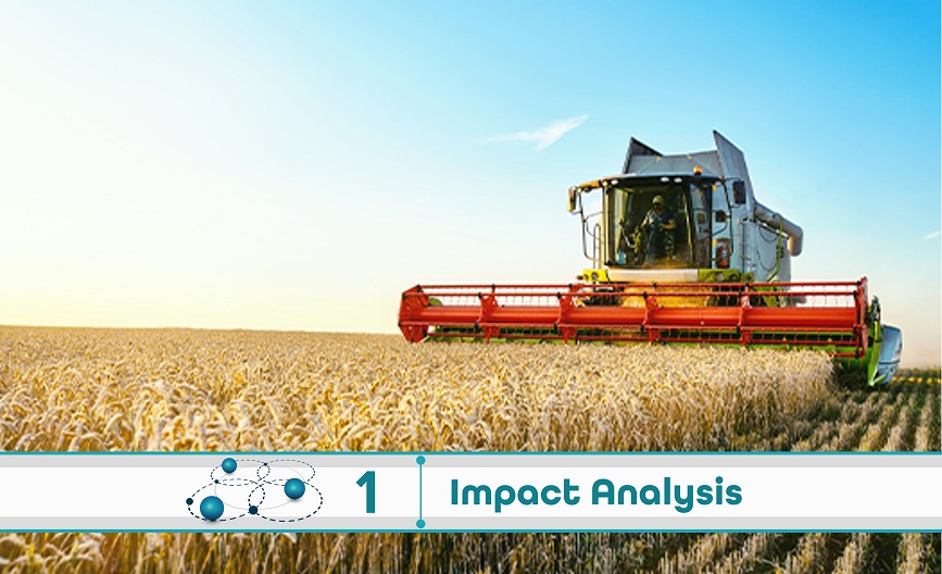  Level 1: Impact Analysis