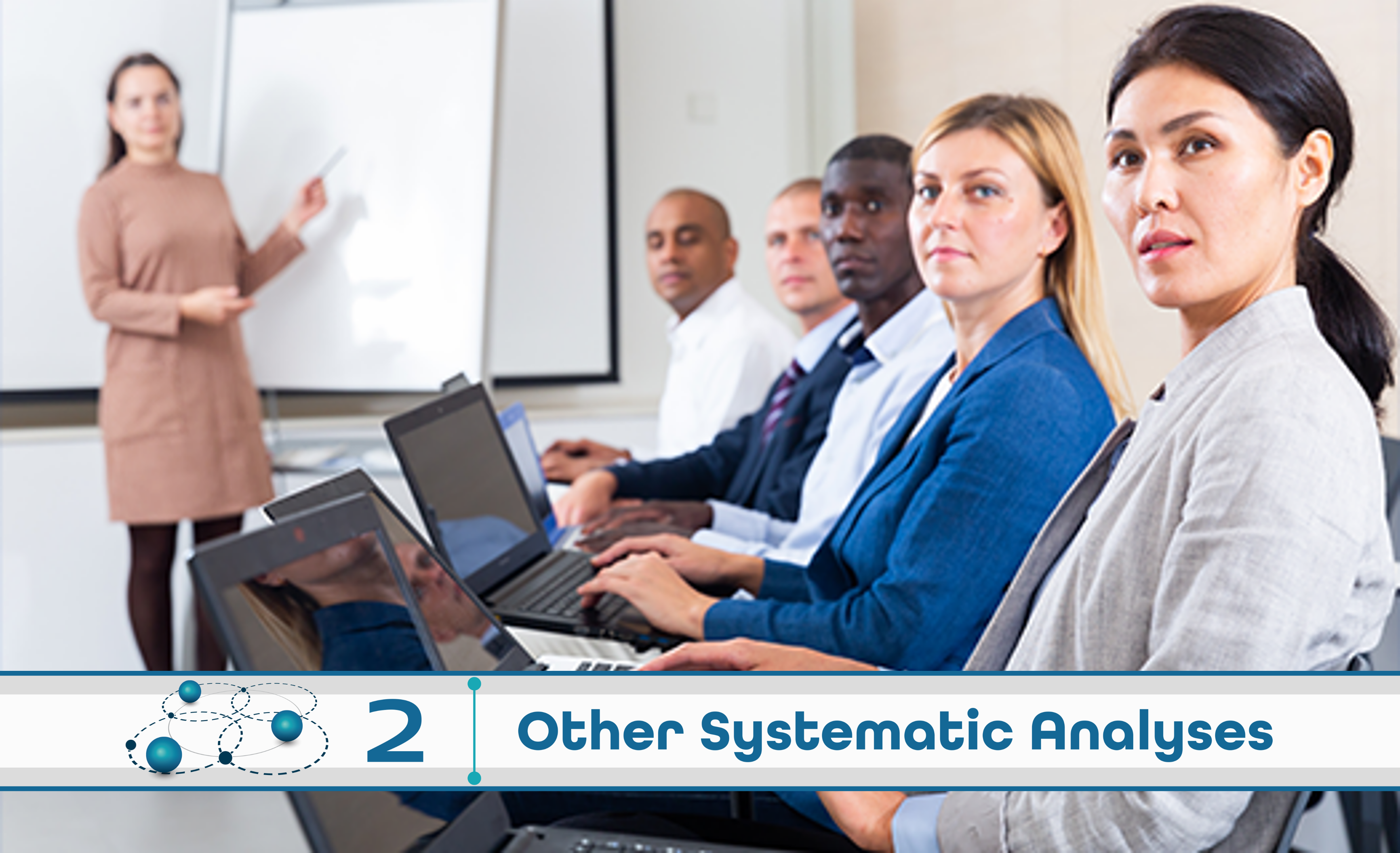 Level 2: Other Systematic Analysis