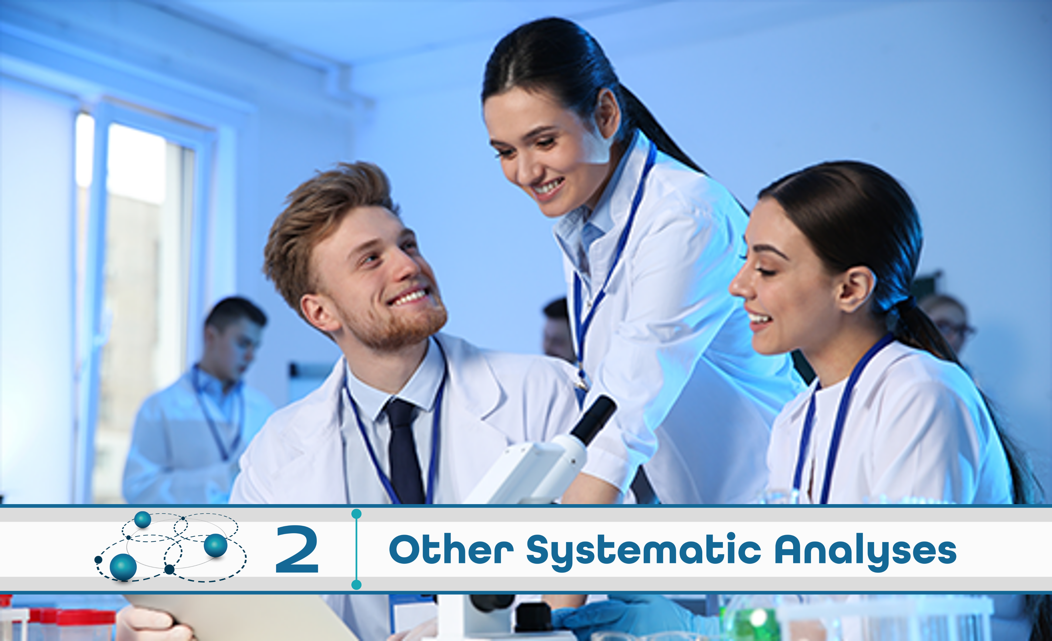 Level 2: Other Systematic Analysis