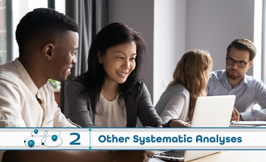Level 2: Other Systematic Analysis