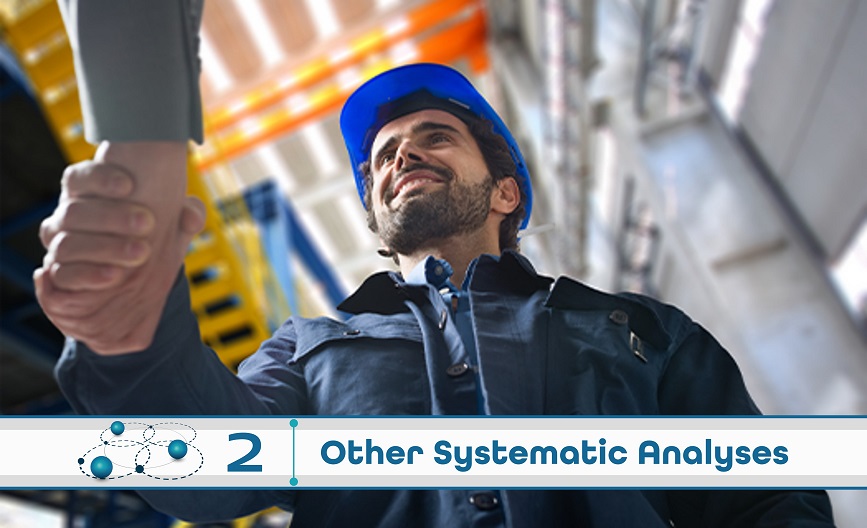 Level 2: Other Systematic Analysis