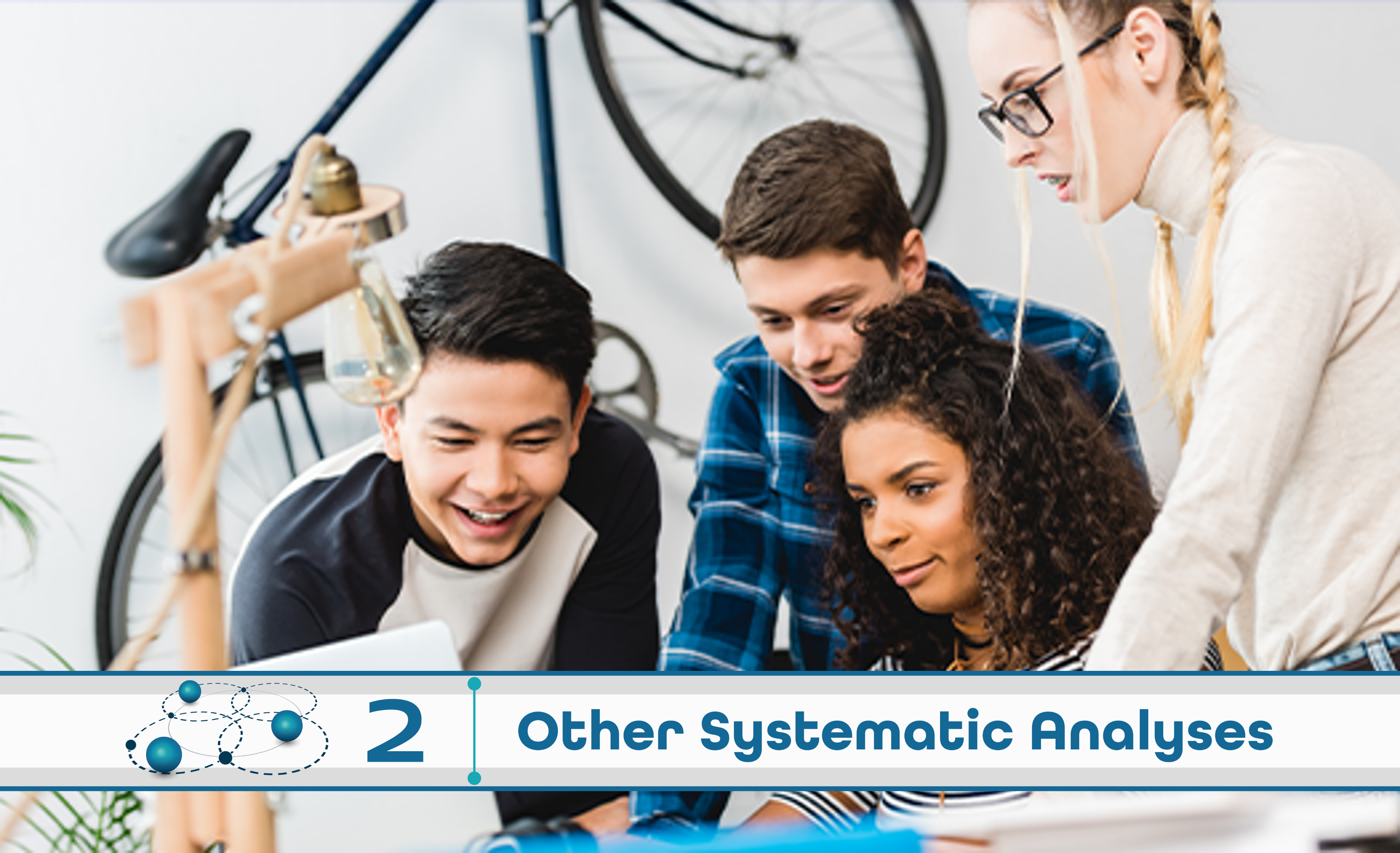  Level 2: Other Systematic Analysis
