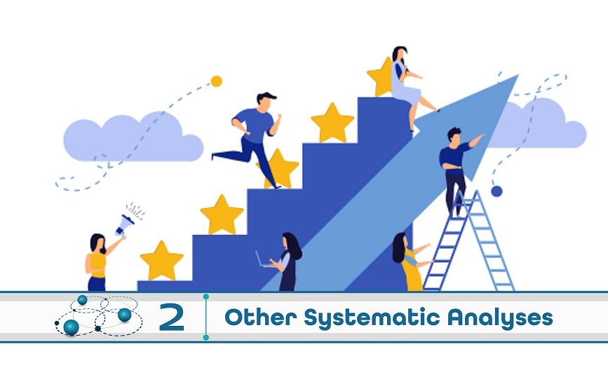 Level 2: Other Systematic Analysis