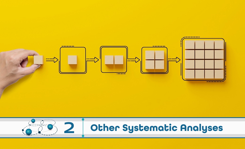 Level 2: Other Systematic Analysis