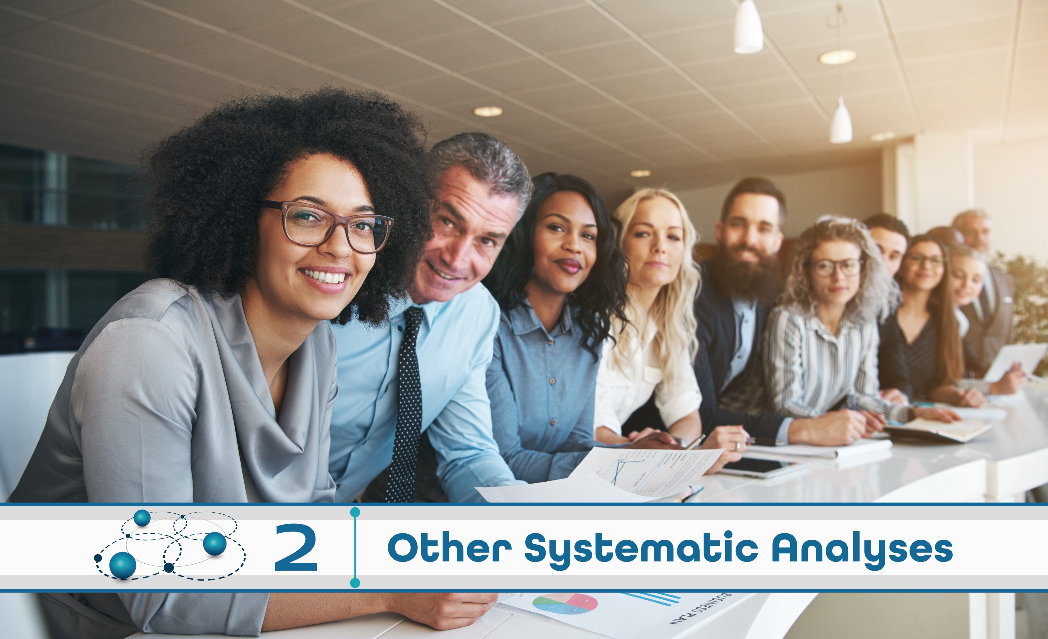 Level 2: Other Systematic Analysis